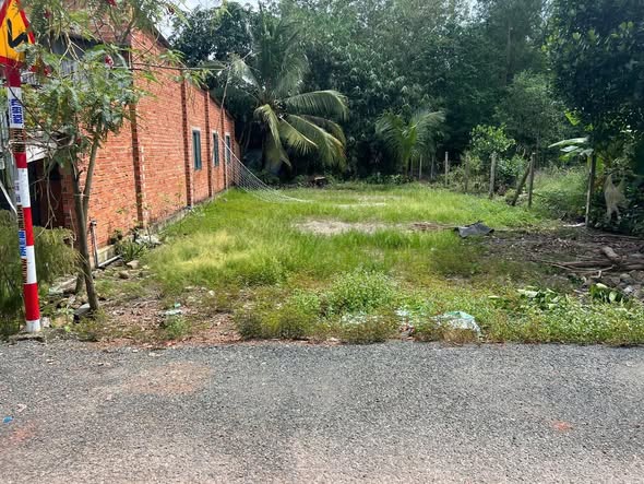 Đất nền Khu công nghiệp Tân Hội, Tây Ninh 230m² giá chỉ 53 triệu - Đầu tư sinh lời nhanh!