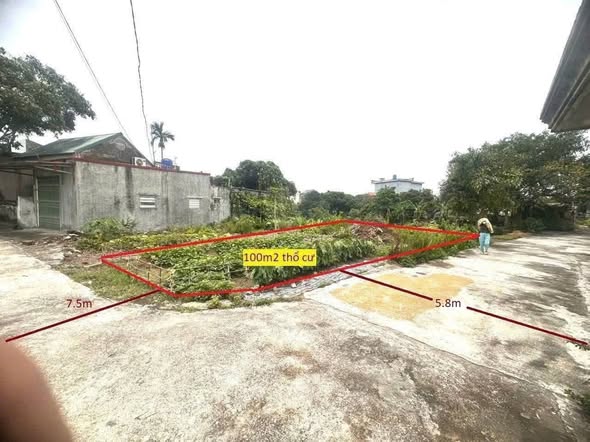 Đất nền Quỳnh Minh - Quỳnh Phụ 100m² giá chỉ 700 triệu - Cơ hội đầu tư hấp dẫn!