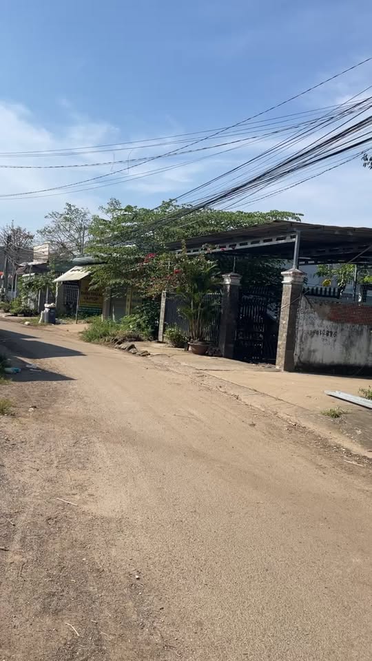 Đất sổ đỏ 490m² mặt tiền đường nhựa xã Sông Trầu - Giá chỉ 4 tỷ