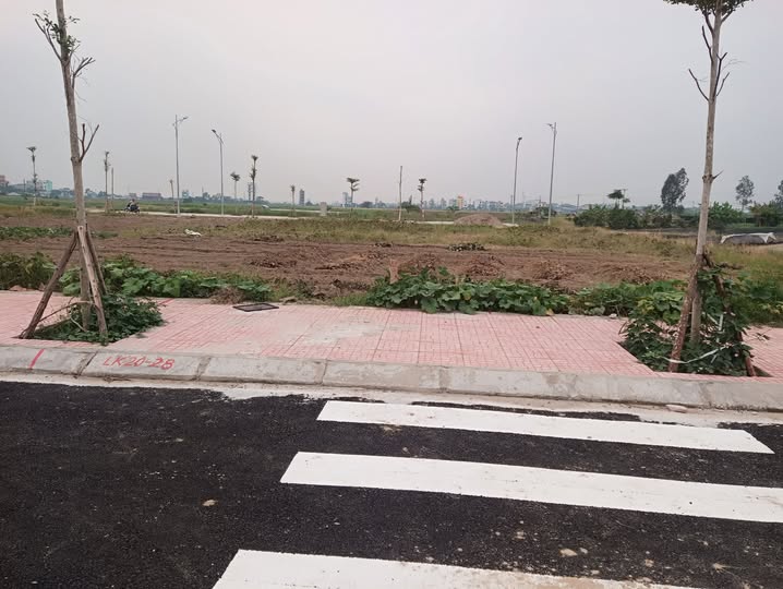 Đất nền Quỳnh Hưng, Thái Bình 127.5m² giá 1.7 tỷ - Vị trí không lỗi vướng!