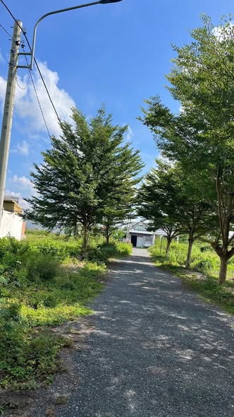 Đất nền phường Long Châu, Vĩnh Long 99.6m² giá 1.29 tỷ - Sổ đỏ chính chủ