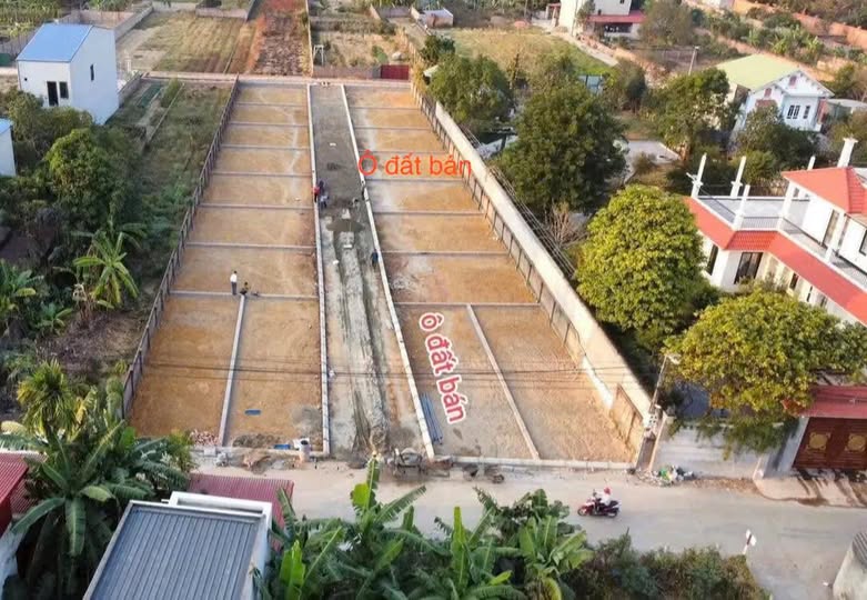 Đất nền kinh doanh Tân Minh, Sóc Sơn 88m² - Giá đầu tư tiềm năng!