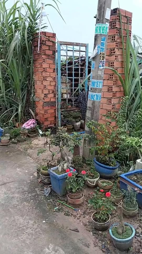 Đất thổ cư 104m², đường ĐX 16, phường Tân Vĩnh Hiệp - Bán gấp chỉ 1.85 tỷ!