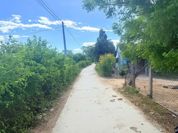 Đất thổ cư Vân Thạch Ninh Xuân 316m² giá chỉ 750 triệu - Đường ô tô vào tận nơi!