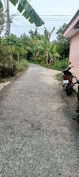 Đất nông nghiệp 1.954m² xã An Bình, Vĩnh Long giá 1.9 tỷ - Cơ hội đầu tư tuyệt vời!