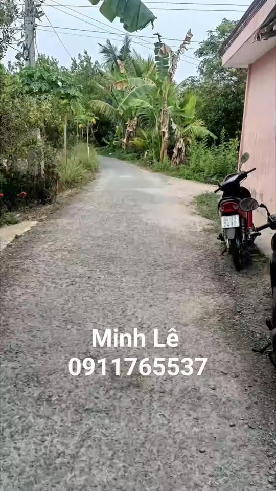 Đất nông nghiệp An Bình 1954m² giá 1.9 tỷ - Đường nhựa ô tô vào tận nơi!