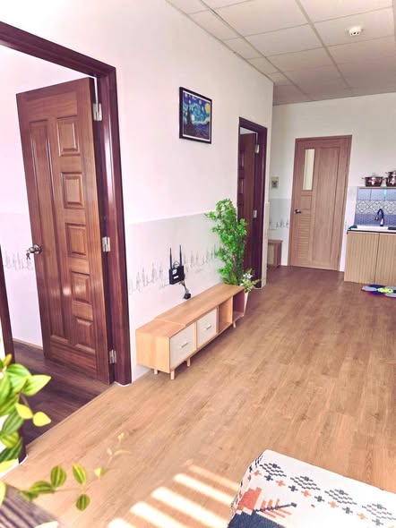 Căn hộ cho thuê Chung cư 444 Rạch Giá 45m² - Nội thất xinh lung linh!