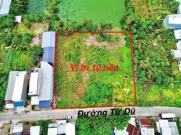 Đất nền dự án mặt tiền đường Từ Dũ, 260m² chỉ 2 tỷ - Cơ hội đầu tư sinh lời!