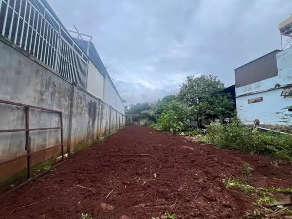 Đất mặt tiền đường D1, phường Tân An, 204m² chỉ 1,8 tỷ - Đầu tư sinh lời ngay!