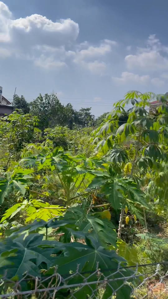 Đất thổ cư Bảo Yên 175m² giá 1 tỷ - Mặt tiền 9m, đường thông thoáng!