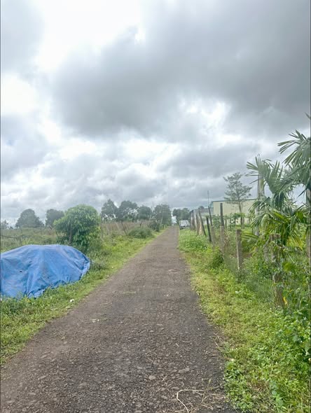 Đất thổ cư 160m² hẻm chính Nguyễn Kiệm, Pleiku - Chỉ 400 triệu VND!