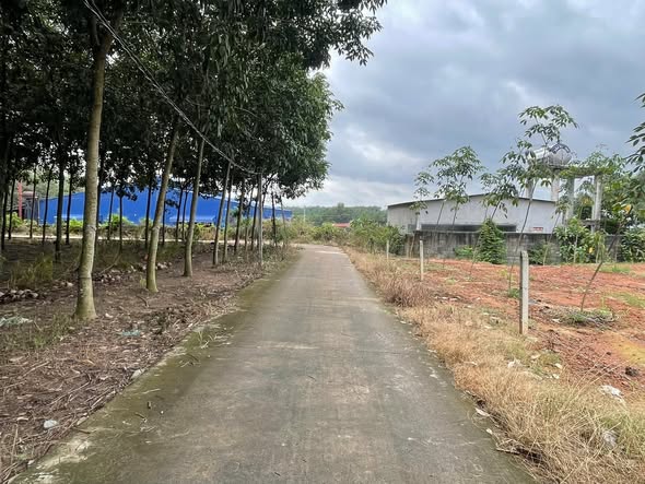 Đất nền xã Nha Bích, Chơn Thành 240m² giá 399 triệu - Đầu tư sinh lời ngay!