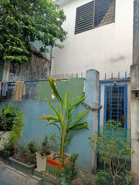 Nhà bán Lũy Bán Bích, Tân Phú 88m² giá 6.5 tỷ - Nhà cũ tiện xây mới!