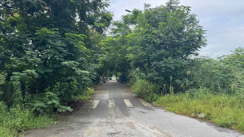 Đất nền Trâu Quỳ, Gia Lâm 32.7m² giá 6.5 tỷ - Đầu tư sinh lời ngay!