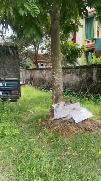 Đất thổ cư 200m² tại Cần Kiệm, Thạch Thất 416m² - Đường thông xe tải, đầu tư sinh lời!