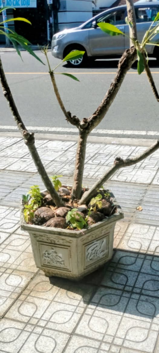 Nhà vườn nghỉ dưỡng tại Diên Lạc 300m² giá 3.5 triệu - Full nội thất