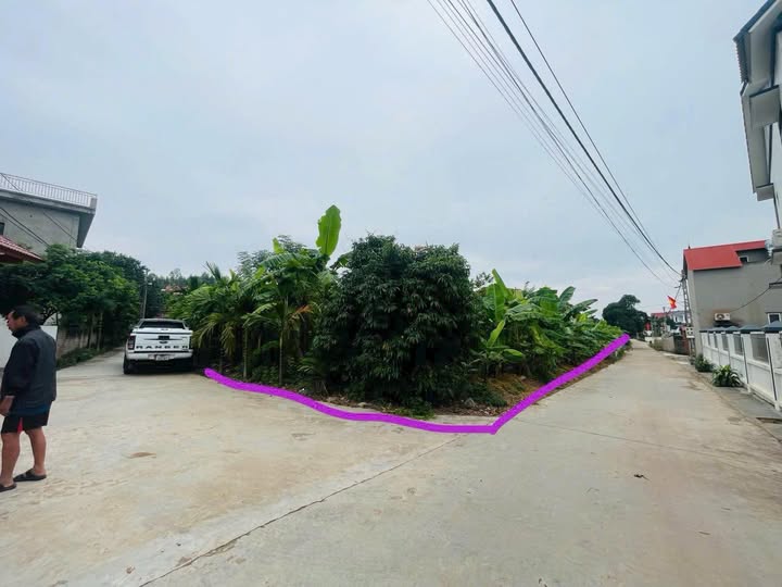 Đất thổ cư 400m² tại Tân Dĩnh, 1289m², giá thỏa thuận - Đầu tư sinh lời ngay!