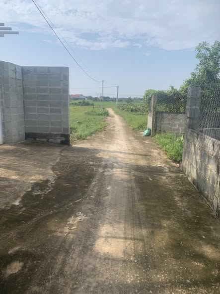 Đất cây trồng thôn 2 Hàm Liêm 977m² giá chỉ 1.15 tỷ - Đầu tư sinh lời tuyệt vời!