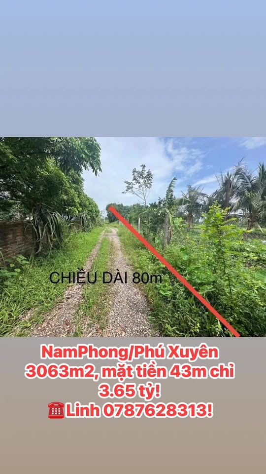 Đất nền Nam Phong, Phú Xuyên 3063m² giá chỉ 3.5 tỷ - Tiềm năng đầu tư lớn!
