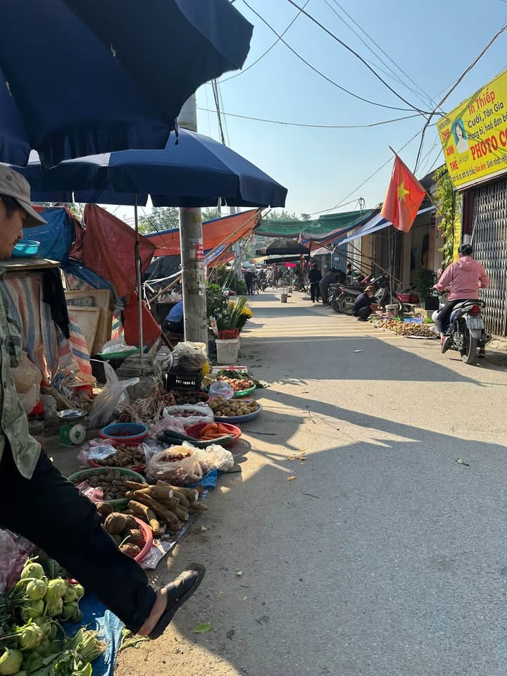 Đất đấu giá Đại Áng 60m² giá 700 triệu - Đường rộng ô tô vào tận nơi!