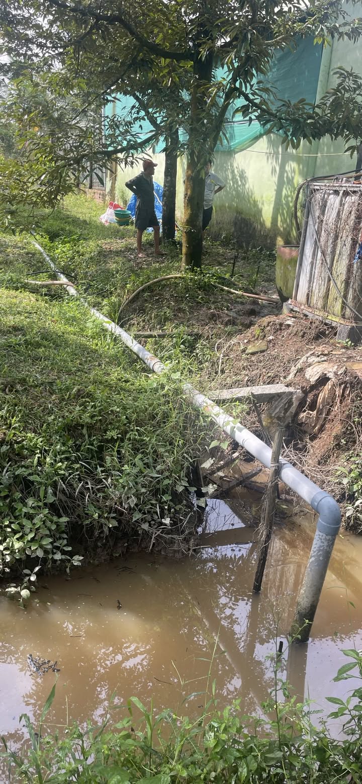 Đất nền Mỹ An, Mang Thít, Vĩnh Long 4,355m² - Cơ hội đầu tư sinh lời!