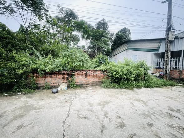 Đất nền phường Nông Trang, Việt Trì 96m² giá chỉ 1 tỷ - Cơ hội đầu tư tuyệt vời!