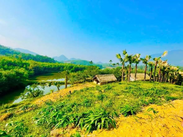 Đất nền Phượng Vỹ Cẩm Khê 4800m² chỉ 1 tỷ - Siêu phẩm view hồ tuyệt đẹp!