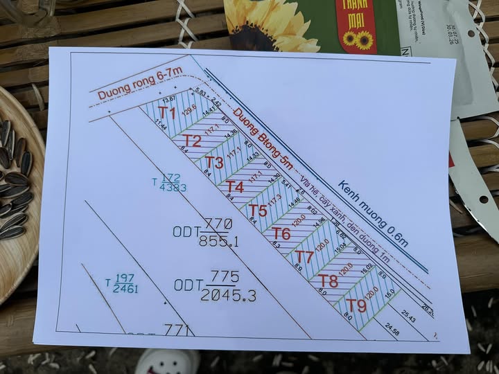 Đất thổ cư 120m² tại xã Sao Vàng, Thọ Xuân - Đầu tư sinh lời ngay!