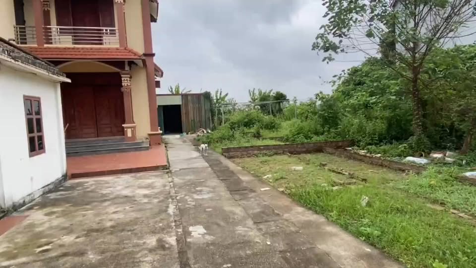 Đất Tổ 13 Đồng Mai 39m² giá 3 tỷ - Vị trí đẹp, dân trí cao!