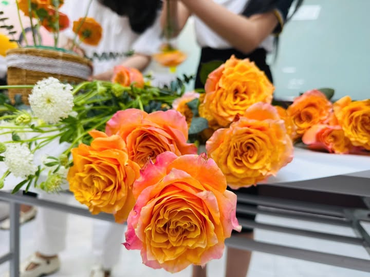 Đất nền tại Trường Sơn - An Lão 100m² giá thỏa thuận - Cơ hội đầu tư sinh lời!