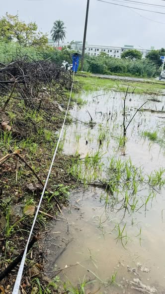 Đất dự án Nguyễn Thành Long Liên Chiểu 144.8m² giá 6.6 tỷ - Đầu tư sinh lời ngay!