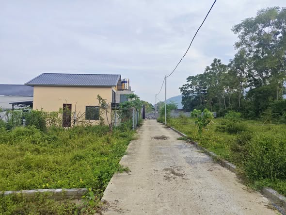 Đất nền Quốc Oai 250m² mặt tiền 19m - Cơ hội đầu tư sinh lời!