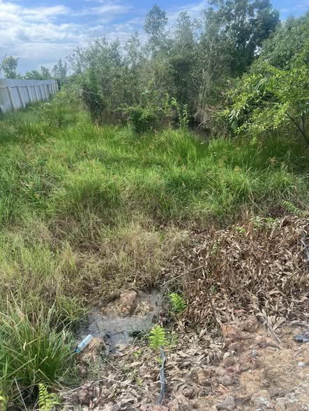 Lô đất mặt tiền kênh Sông Tra, Thị Trấn Đức Hòa, 1250m² giá 5.25 tỷ - Đầu tư sinh lời ngay!