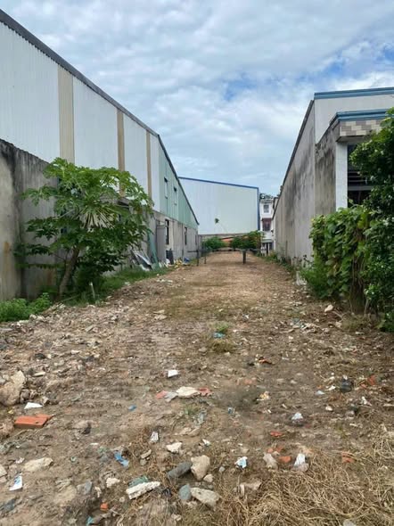 Đất nền mặt tiền đường Đức Hòa Thượng 244.4m² giá chỉ 4.2 tỷ - Kinh doanh đa ngành nghề