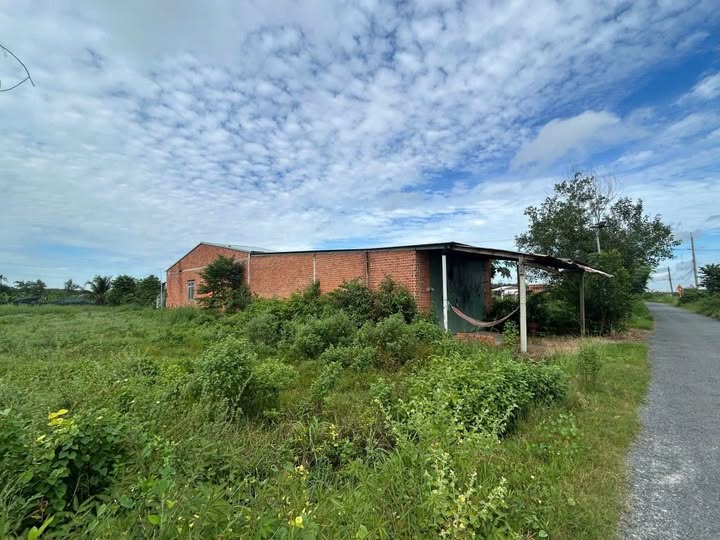 Đất nền Lộc Hưng Trảng Bàng 406m² giá 900 triệu - Cơ hội đầu tư tuyệt vời!