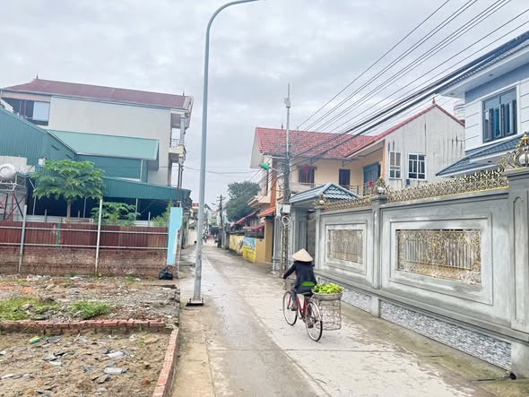 Đất nền Võng Xuyên Phúc Thọ 100m² giá chỉ nhỉnh 3 triệu - Đầu tư sinh lời ngay!