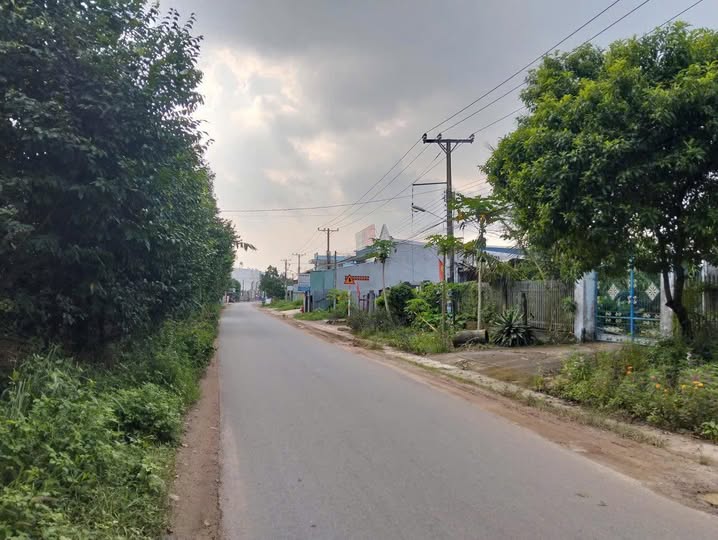 Đất nền ấp Bưng Cơ, Lộc An 3000m² giá chỉ 6.6 tỷ - Cơ hội đầu tư hấp dẫn!