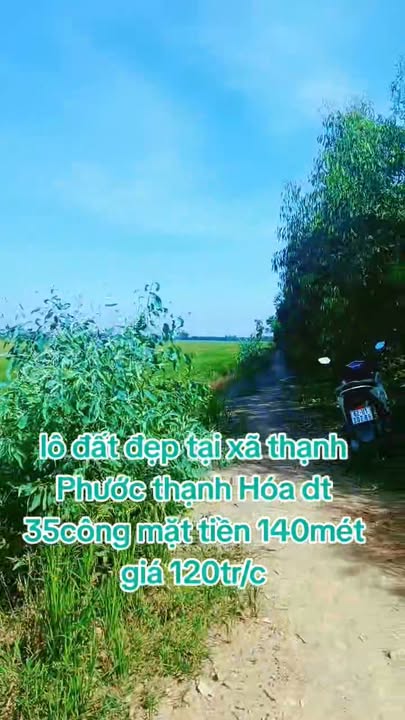 Đất nông nghiệp Thạnh Phước, 1000m² giá 120 triệu - Cơ hội đầu tư hấp dẫn!