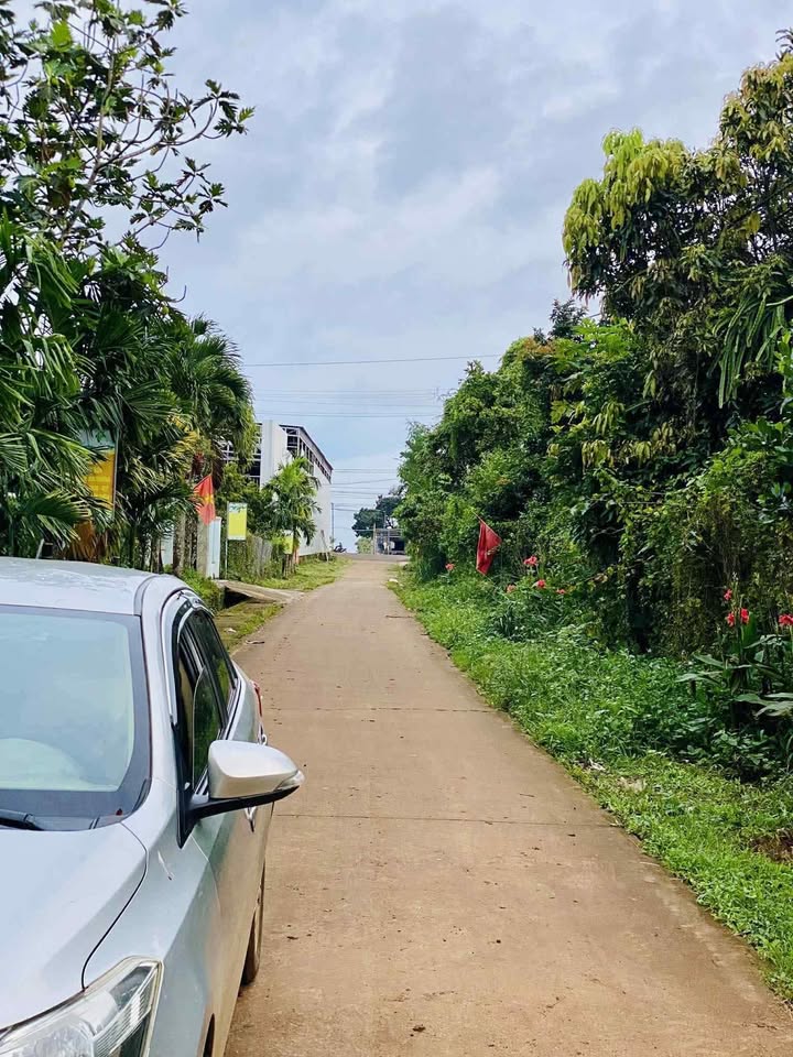 Đất nền 300m² xã Quảng Phú - Giá chỉ 135 triệu, nhanh tay sở hữu!