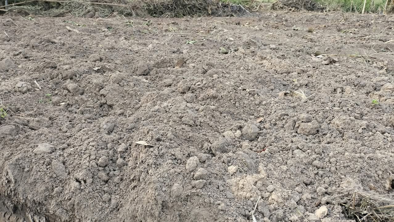 Đất nông nghiệp Quảng Hiệp, Cư M'gar 15.000m² chỉ 1.4 tỷ - Đầu tư sinh lời ngay!