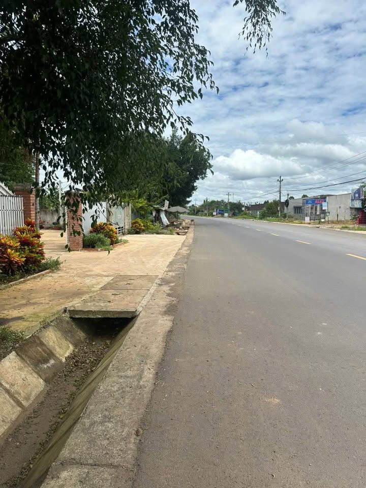 Đất nền 1,8 sào Ea Nuôl, Buôn Đôn - Giá 600 triệu, vị trí đẹp gần đường tỉnh lộ!