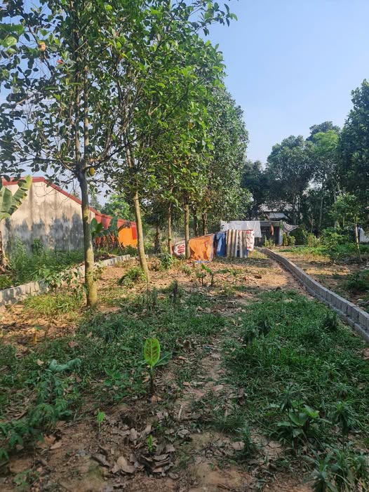 Đất thổ cư Phường Thịnh Đán 430m² giá 2.4 tỷ - Pháp lý sổ đỏ đầy đủ!