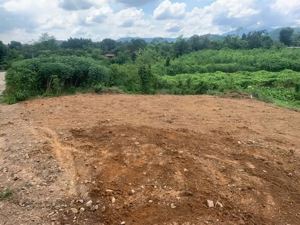 Đất thổ cư 1200m² mặt tiền đường bê tông xóm Guột, Tân Cương - Giá 920 triệu!