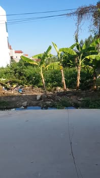 Đất nền tại Tam Dị, Lục Nam, Bắc Giang 100m² giá 1 tỷ - Đầu tư sinh lời nhanh!