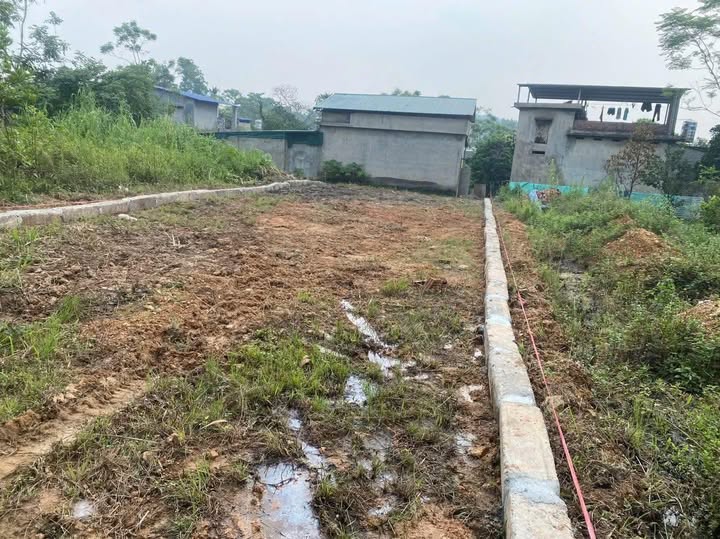 Đất thổ cư 84m² tại phường Quan Triều, Thái Nguyên - Giá chỉ 700 triệu!