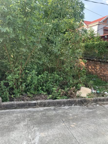 Đất nền thôn núi Quỳnh, Yên Dũng 128m² giá 800 triệu - Cơ hội đầu tư hiếm có!