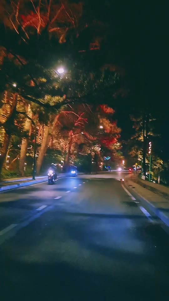 Đất mặt tiền đường Cổ Loa, P2, Đà Lạt 165m² giá 10.5 tỷ - Cơ hội đầu tư tuyệt vời!