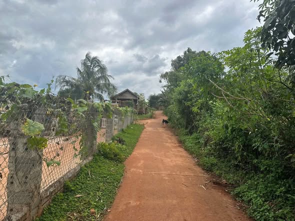 Đất nền 300m² tại Ea Drăng, Đắk Lắk - Giá 699 triệu, thương lượng ngay!