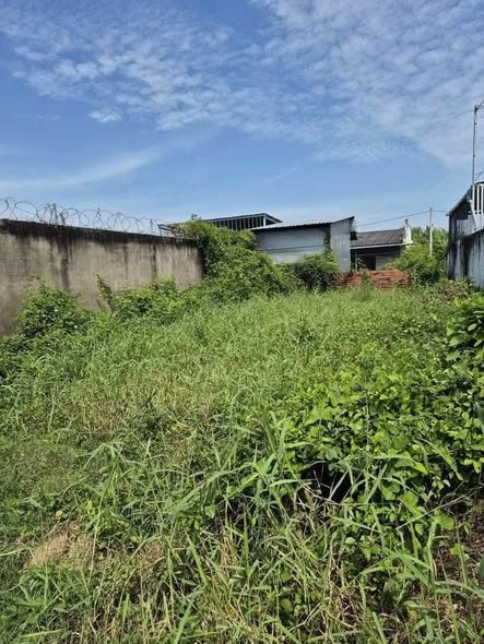 Đất nền 105m² đường Xuân Thắm, Gò Công - Giá chỉ 550 triệu, thương lượng!