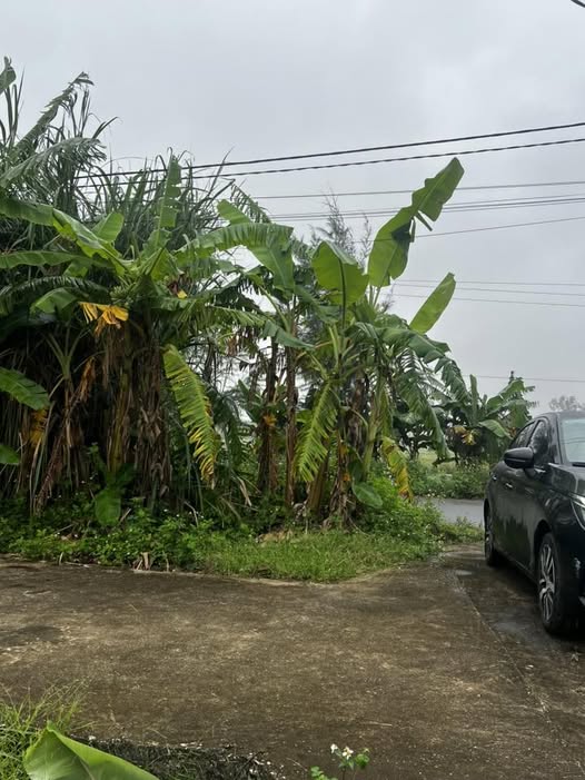 Đất Vũ Đông Trần Lãm Thái Bình 50,2m² giá 7xx triệu - Đất vuông vắn ô tô đỗ cửa!